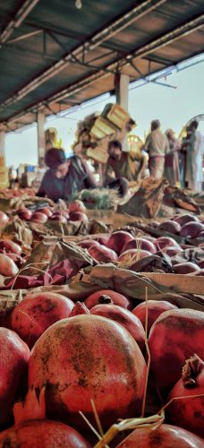 Copy of IMG_20191024_134101-02