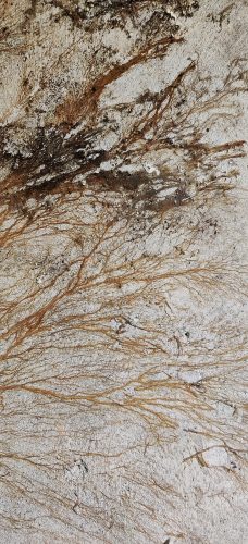 IMG_20191113_140428-01