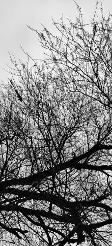 IMG_20200211_152937-01