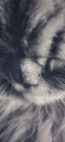 IMG_20200307_232738-02