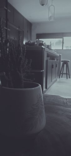 IMG_20200522_175825-01